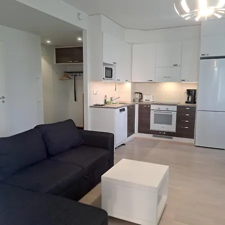 Northern Sauna With Heated Garage Rovaniemi