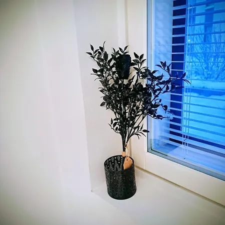 Northern Sauna With Heated Garage Huoneisto Rovaniemi