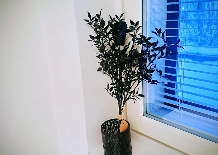 Northern Sauna With Heated Garage דירה רובניימי